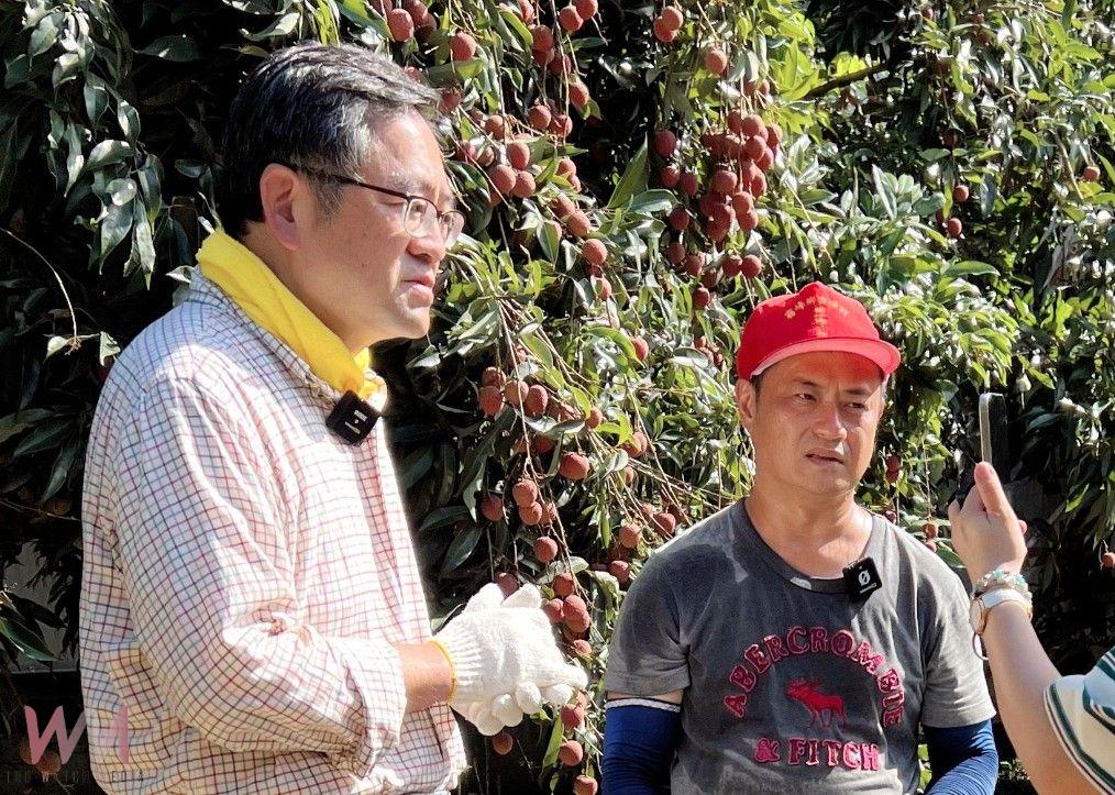 減產更需加強宣傳!霧農大叔教如何吃荔枝不上火 瀏覽人次3天破200萬 - https://www.watchmedia01.com