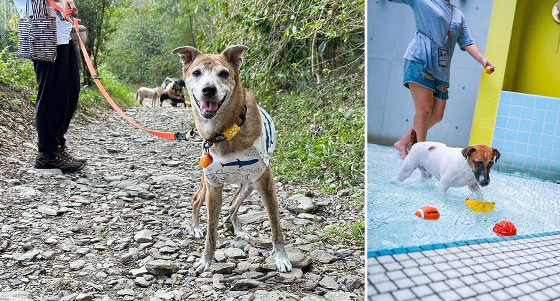 上山又下水!高雄推OutDog GoGo戶外急救技能認證課開放報名中