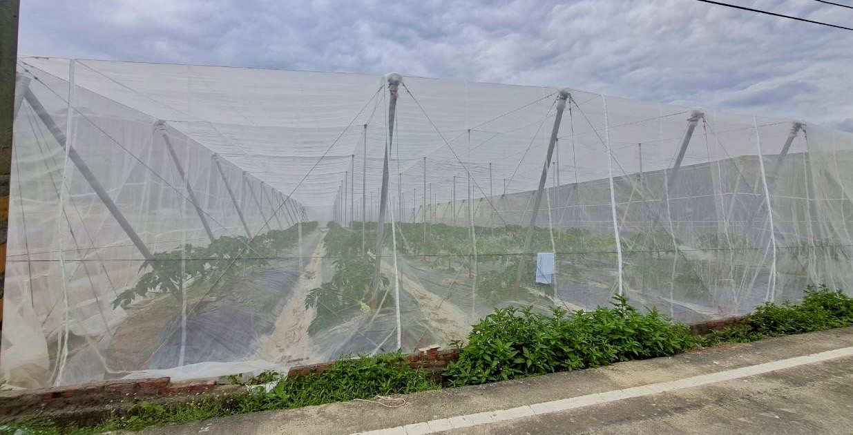 受熱帶性低氣壓TD06影響 請農民加強防範及注意搶收安全