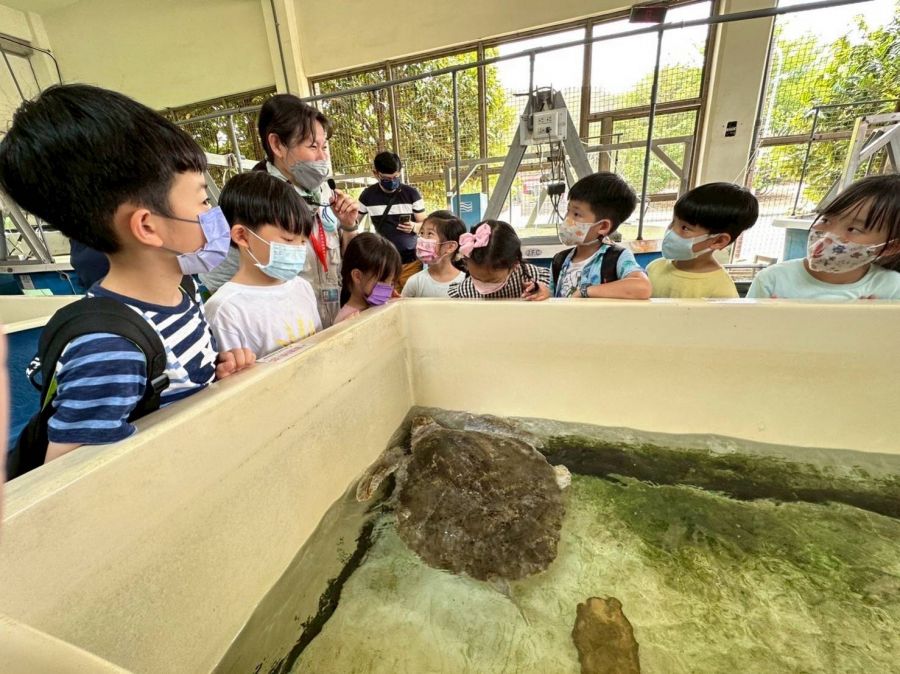 夜宿海生館推出全新行程!走進神秘水族實驗中心探訪海龜