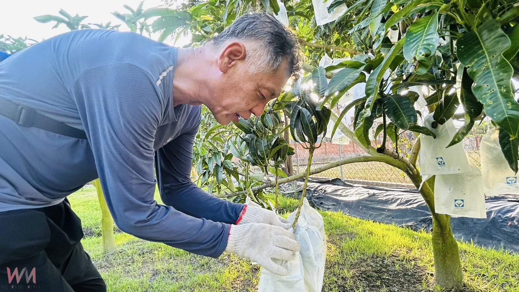 以師鐸獎的精神拚現代農業 精誠中學校長游源忠產出優質芒果 - https://www.watchmedia01.com