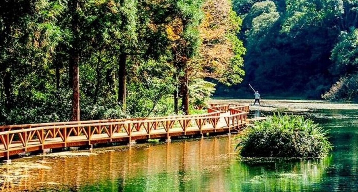 受颱風丹娜絲影響　福山植物園7月6日至7日預警性休園