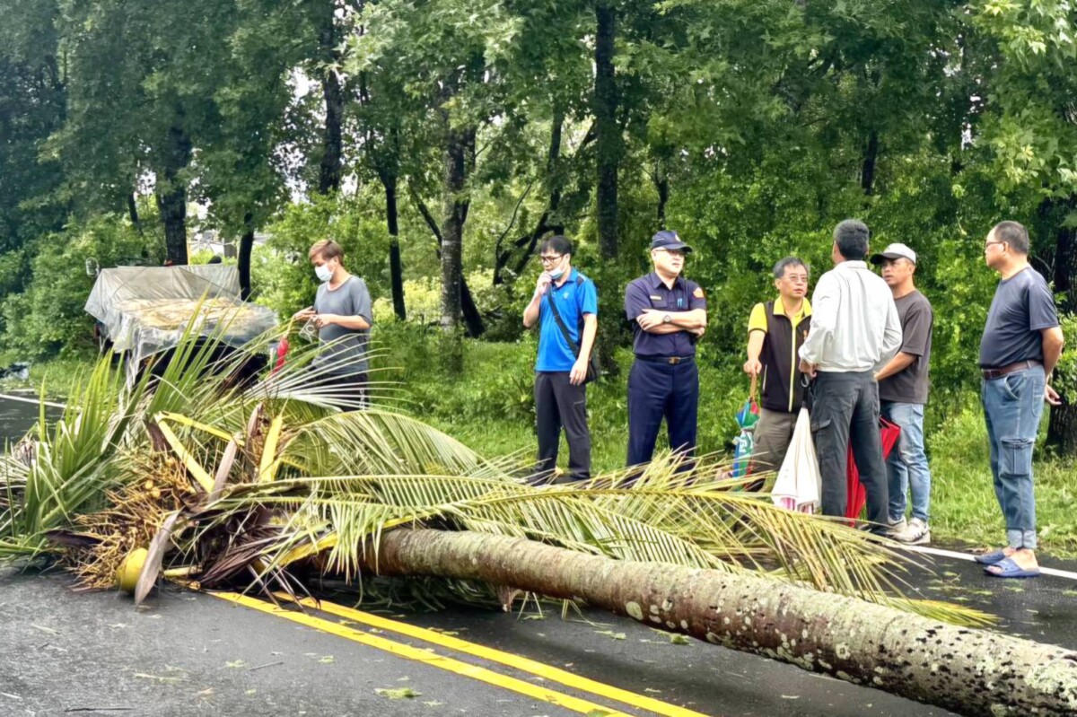 ▲台南楠西果農凌晨載兒出門遭路樹砸,釀1死1傷悲劇。(圖/記者陳彥霖翻攝)