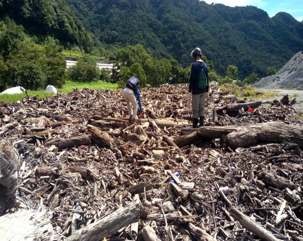 ▲颱風引發漂流木採「屬地原則」，民眾切勿擅自撿拾以免觸法。（林業保育署南投分署提供）