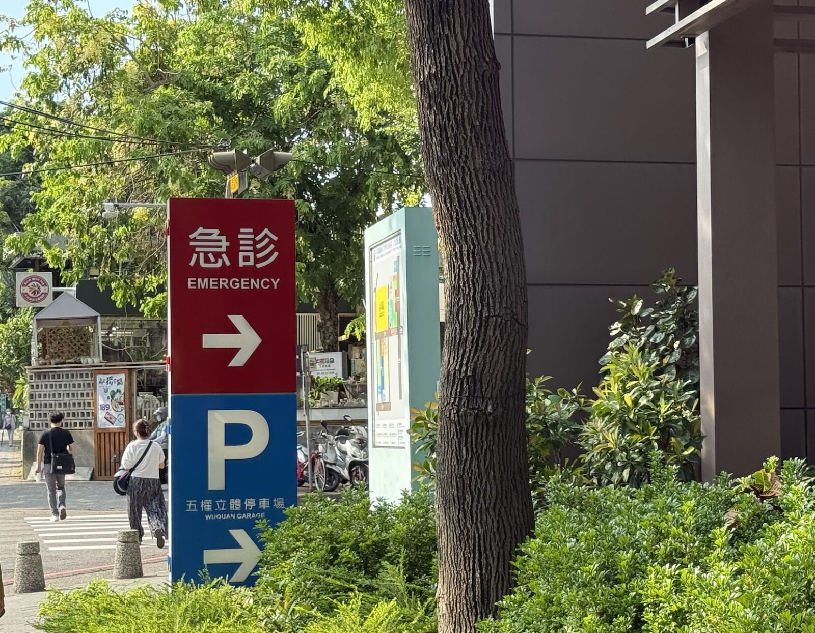 她為《神奇寶貝》小智配音!劇烈頭痛昏迷 逃過動脈瘤破裂危機 230 她為《神奇寶貝》小智配音!劇烈頭痛昏迷 逃過動脈瘤破裂危機 229