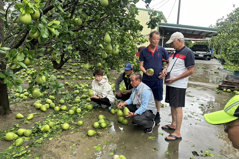 颱風丹娜絲重創台南 陳亭妃:停電、屋損、農損等皆已通報農糧署 234 颱風丹娜絲重創台南 陳亭妃:停電、屋損、農損等皆已通報農糧署 233