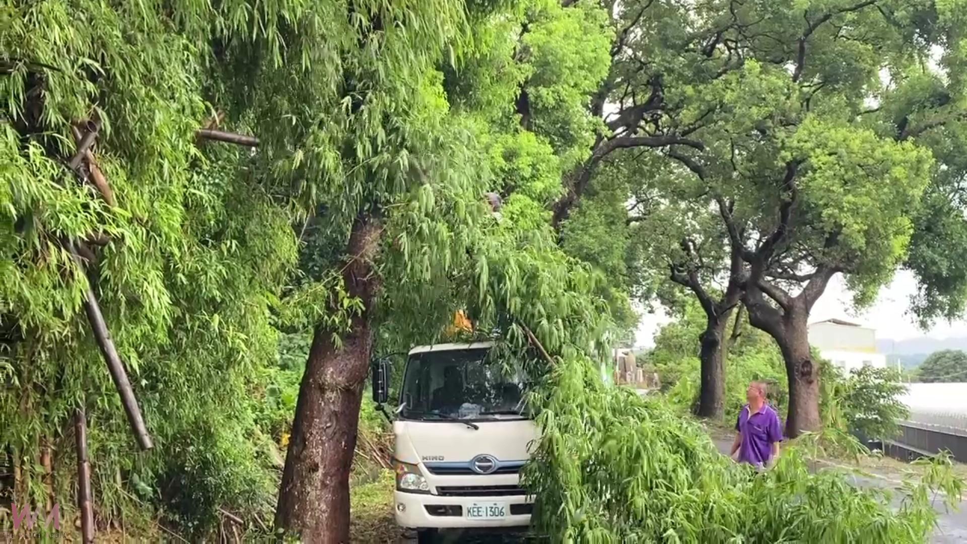 (有影片)/八卦山大佛發威?彰化平安過颱風 網友喊:又賺到颱風假! - https://www.watchmedia01.com