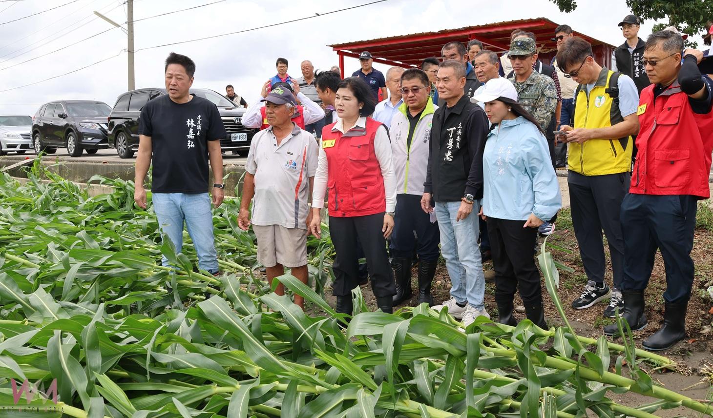 雲林丹娜絲農損全國最重 張麗善籲中央速納入全面救助 - https://www.watchmedia01.com