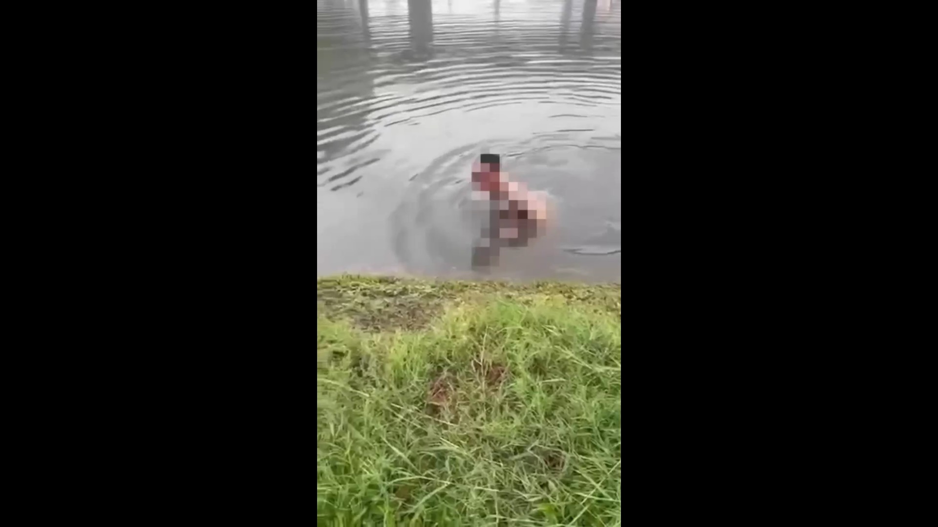 (有影片)/【屁孩添亂】暴雨中裸泳還自拍 刺青男跳滯洪池遭法辦 - https://www.watchmedia01.com