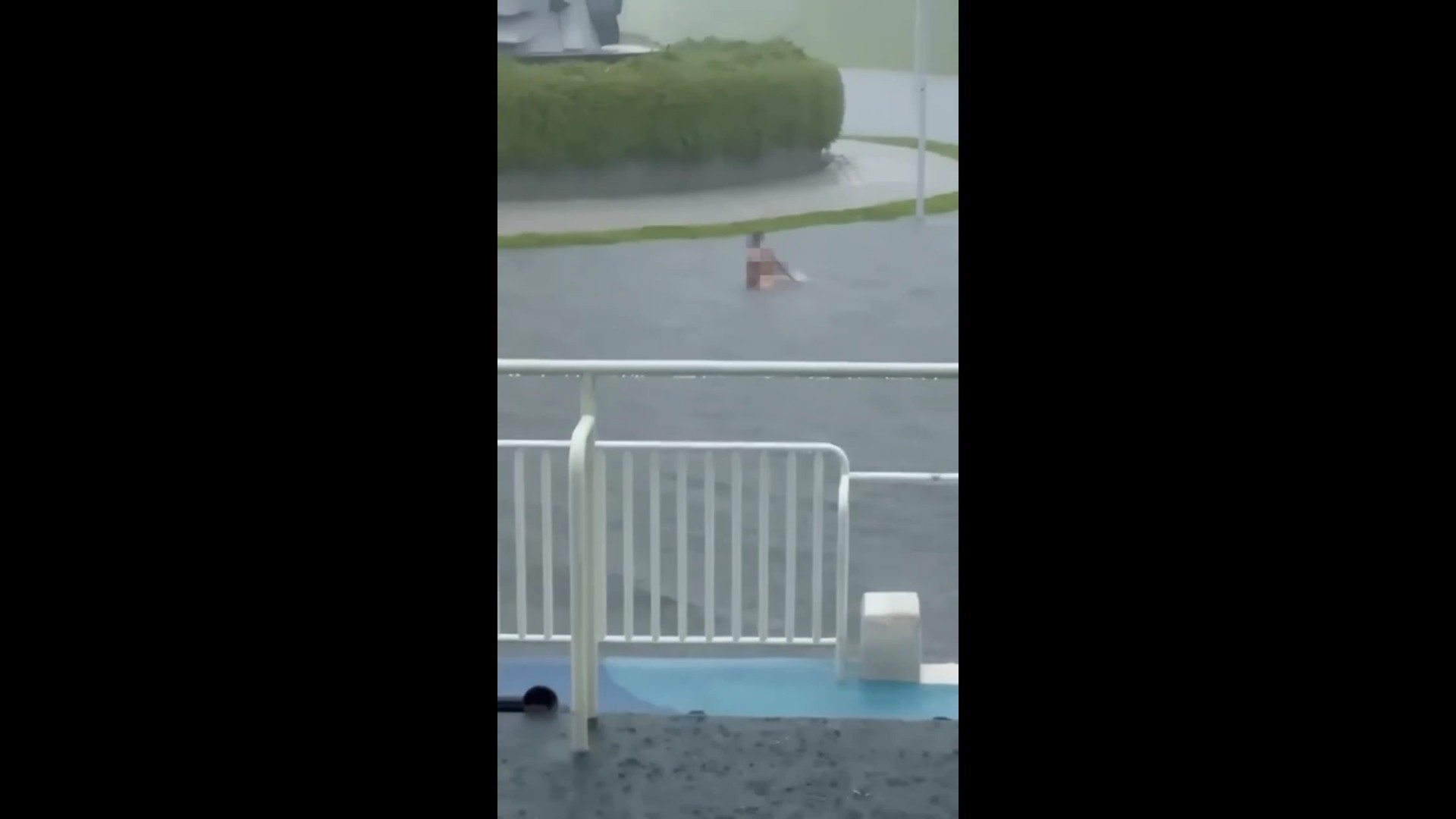 (有影片)/【屁孩添亂】暴雨中裸泳還自拍 刺青男跳滯洪池遭法辦 - https://www.watchmedia01.com