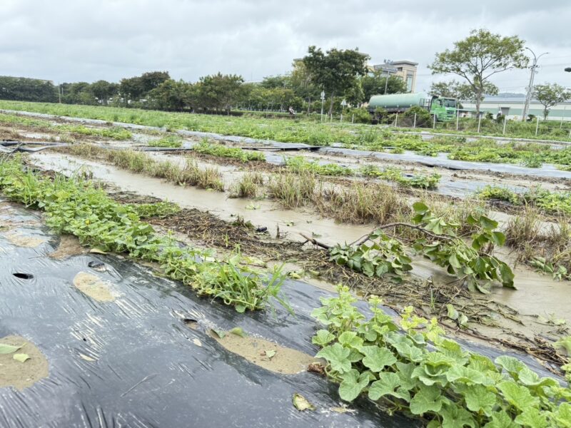 高雄市長前往產區勘災 指示加速辦理救助作業