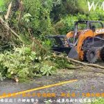 （有影片）／八卦山大佛發威？彰化平安過颱風　網友喊：又賺到颱風假！ - https://www.watchmedia01.com