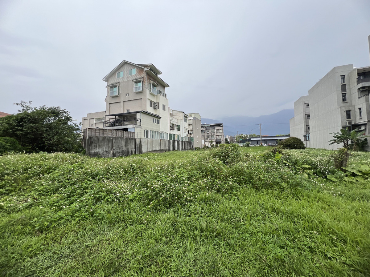 夏季防蚊急先鋒　雜草不除將挨罰