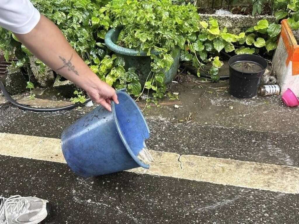 ▲積水容器請倒在沒有積水的空地上。