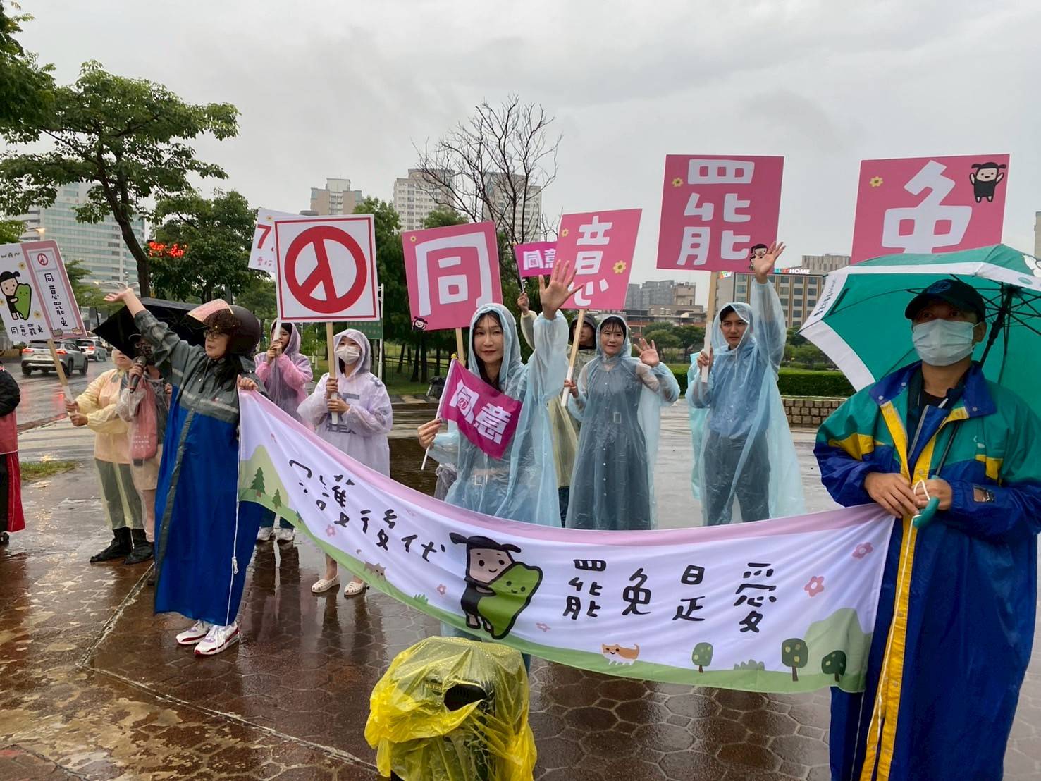 大罷免倒數!桃園、高雄民代攜手催同意票 籲下架不適任立委 1804167 0