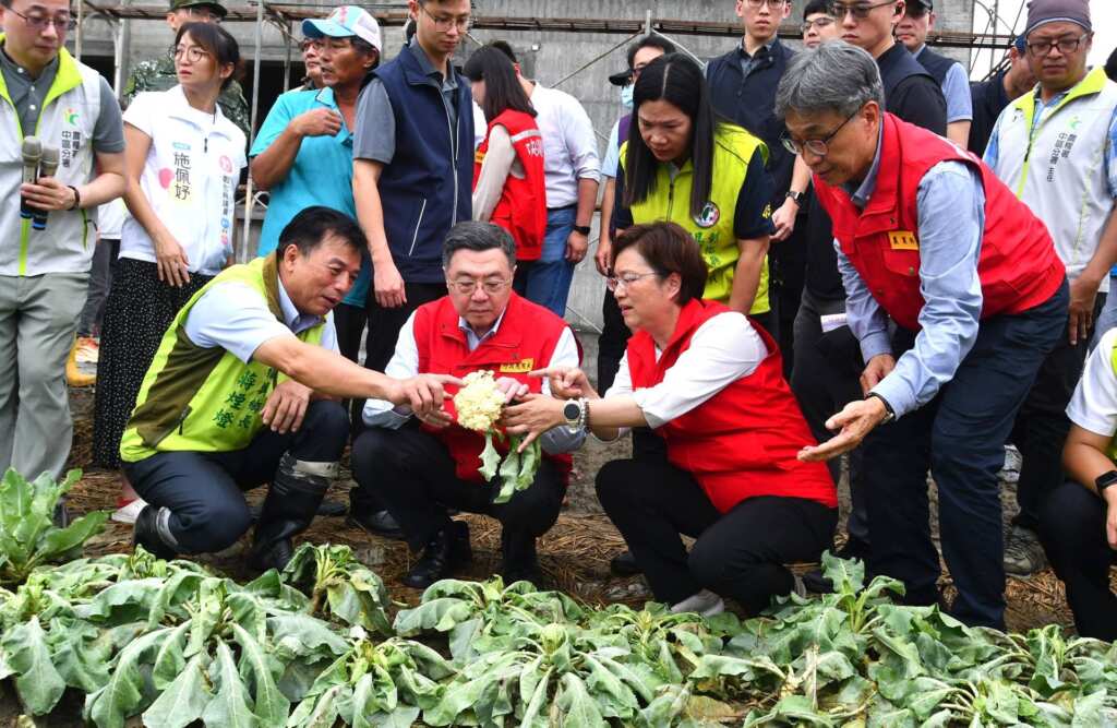 ▲卓揆視察番石榴及花椰菜受損情形,王惠美縣長爭取彰化列「全品項」農災現金救助。(彰化縣政府提供)