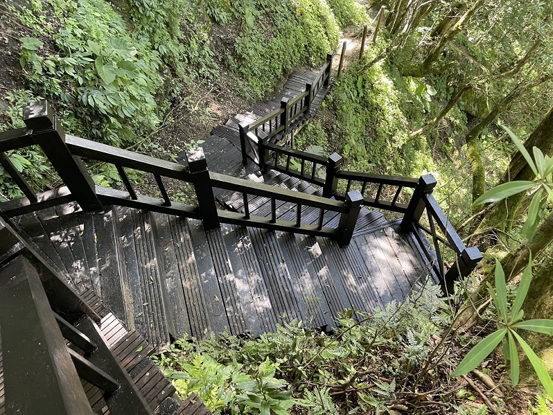 ▲東滿步道木造階梯修繕完成 。