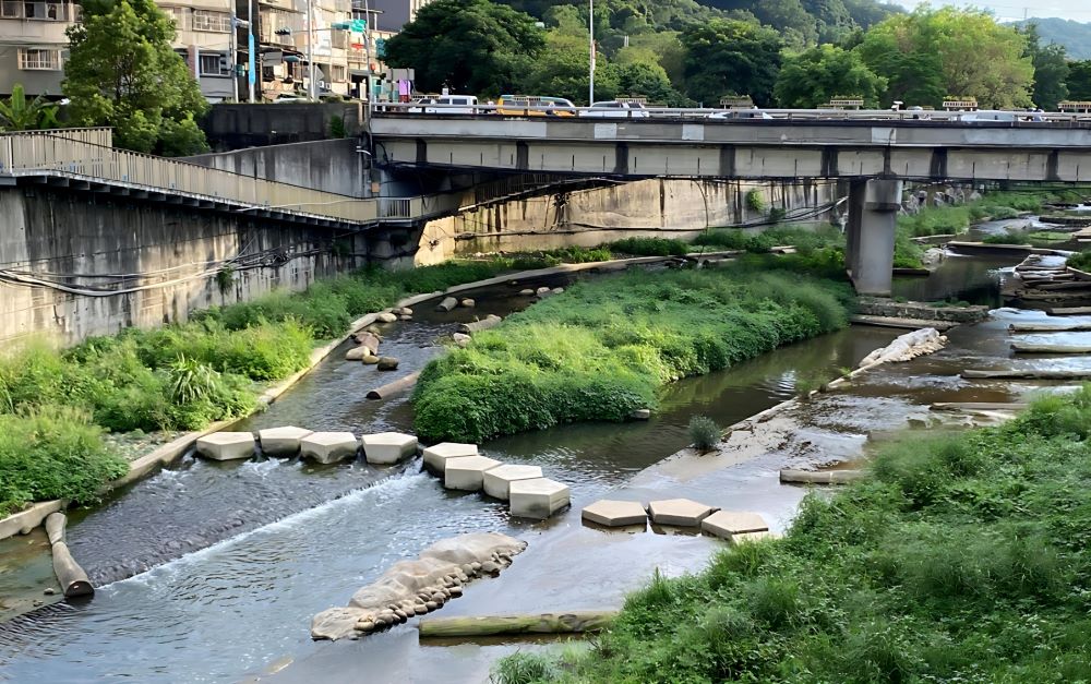 大窠坑溪二期工程完工 侯:「還河於自然」更有生機 4 《圖說》河川增設中島,除增加生物棲地外,也能提供多元水流環境。〈水利局提供〉