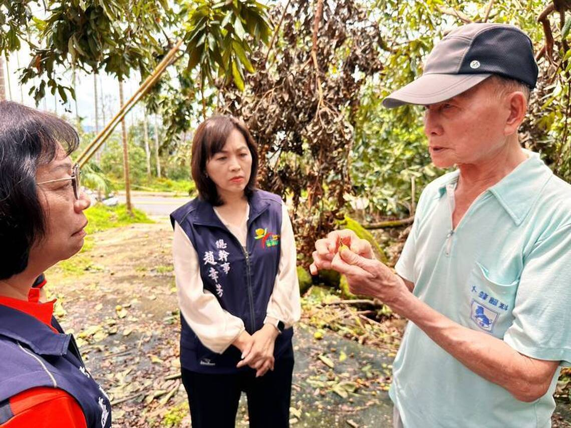 農園災情慘烈 嘉義番路鄉災損逾七成 農會啟動保價收購護農民