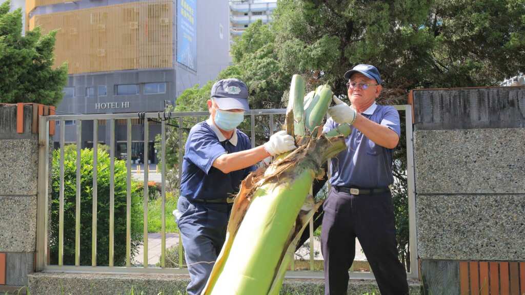 ▲丹娜絲颱風橫掃南台灣,嘉義市多處災情嚴重,校園亦不例外,為協助災後復原,來自彰化地區的47位慈濟志工投入校園倒樹清除與環境整頓,為孩子們的學習環境盡一份心力。(慈濟志工提供)