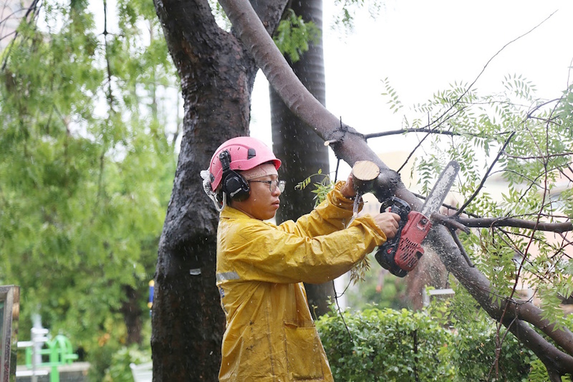 嘉市主要幹道去化預計7月16日完成 災後復原持續加速