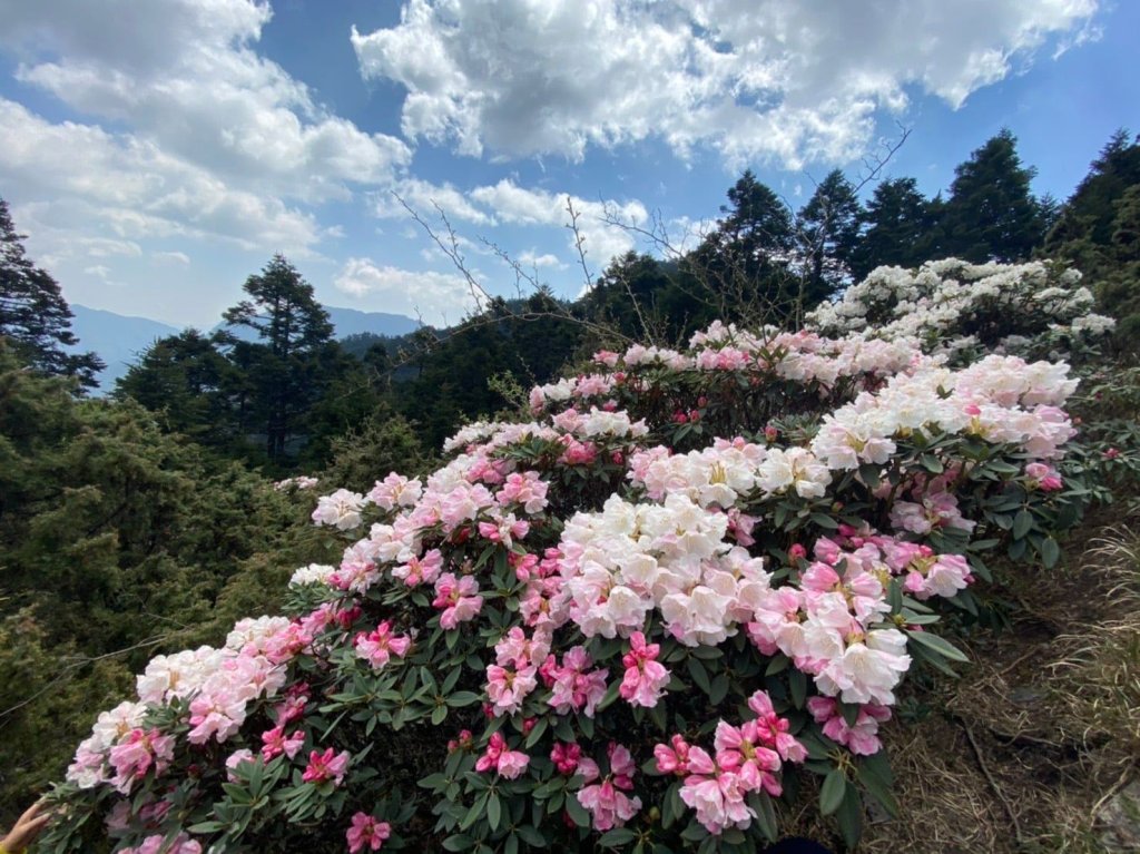 端午連假防塞-日月潭、清境及合歡山行前掌握路況