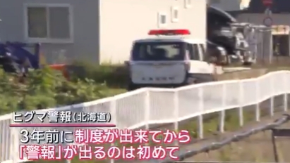 北海道漁村驚魂夜！棕熊拖行送報員100公尺 全町首發熊警報