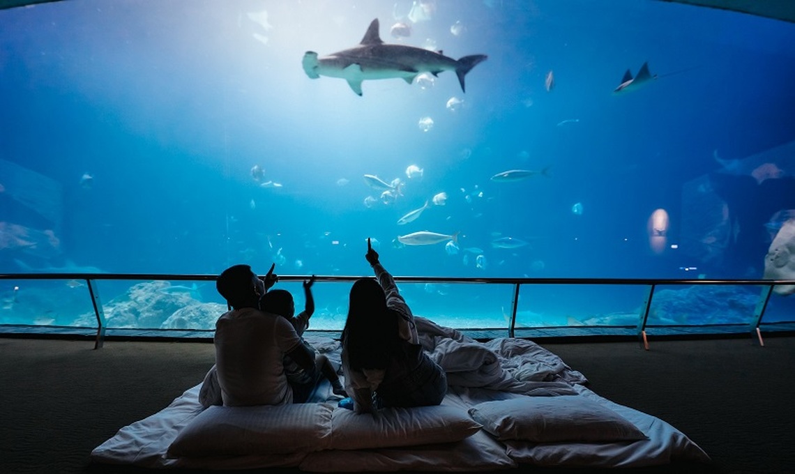 25週年驚喜登場!屏東海生館「福爾摩鯊之旅」五大亮點嗨翻暑假