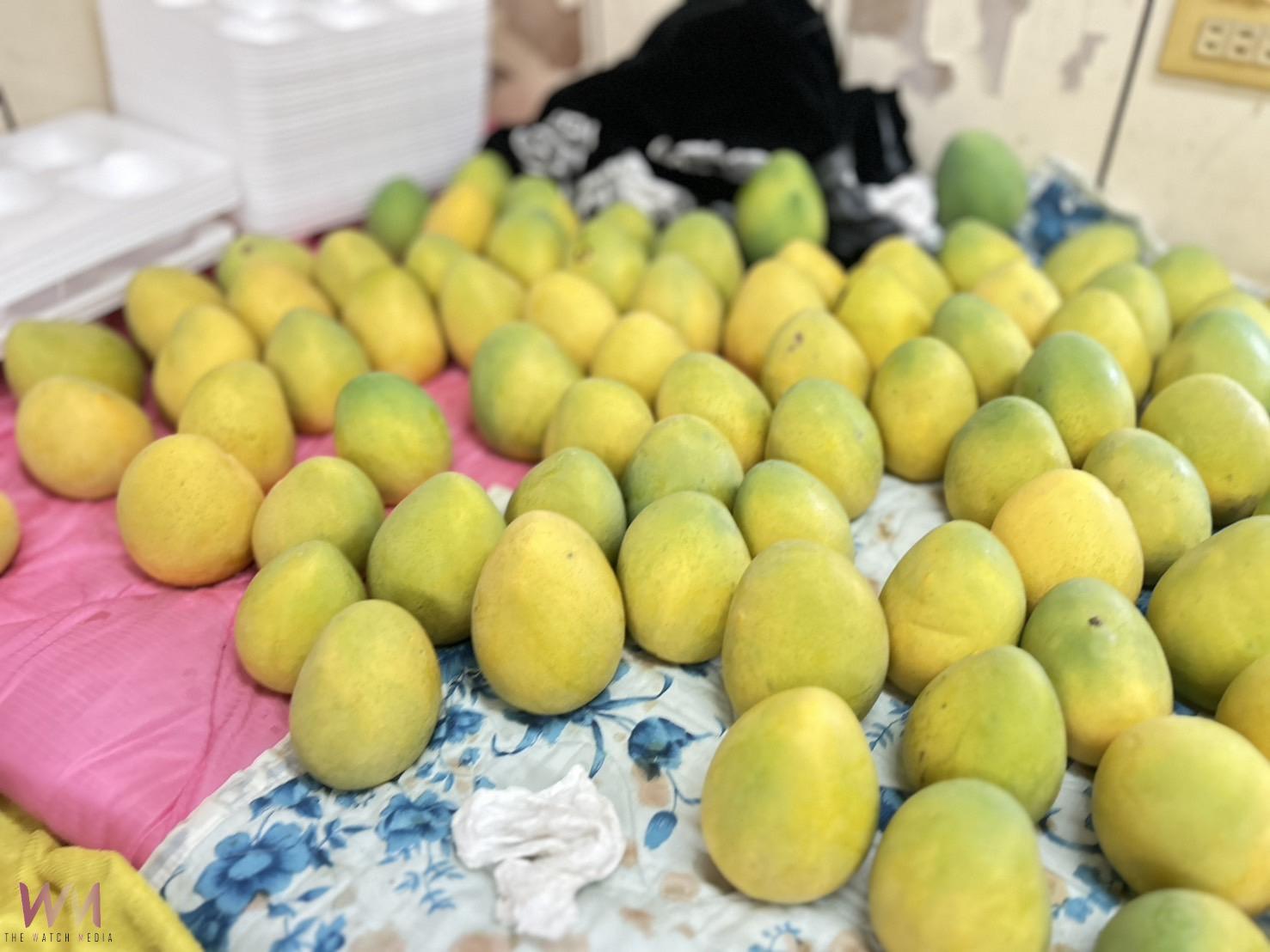 老二哲學造就頂級金蜜芒果 羅家果園羅福村夫妻不是第一名但絕對是美味 - https://www.watchmedia01.com