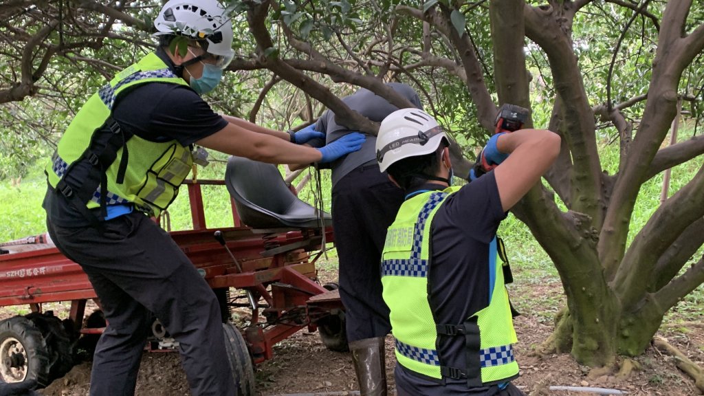 苗栗三灣73歲翁卡在果樹上 消防隊員鋸樹救下送醫不治