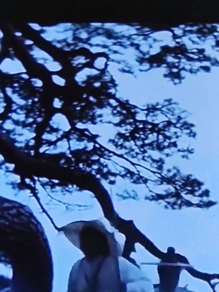 紅塵劫（孫吳也文創）新歌274