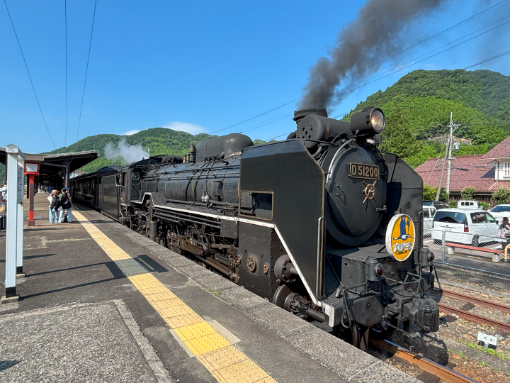 山口縣東部玩法~錦帶橋下賞千年捕魚法鵜飼