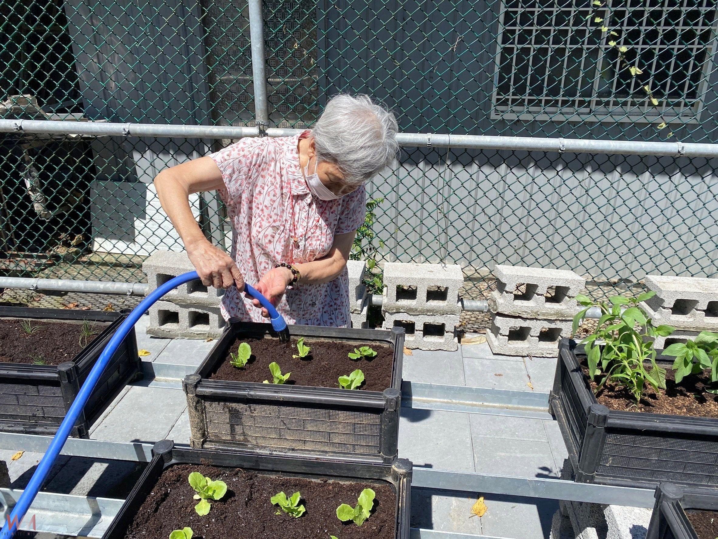 雙湖神鵰俠侶投入農村綠陪伴 芳香-綠療育助長輩提升量能撫慰心靈 - https://www.watchmedia01.com