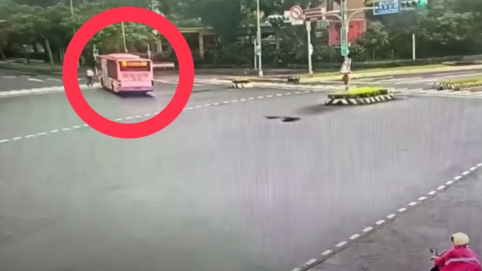 國內知名乳癌權威周佳正醫師在過馬路時,在斑馬線上遭公車撞上。翻攝畫面