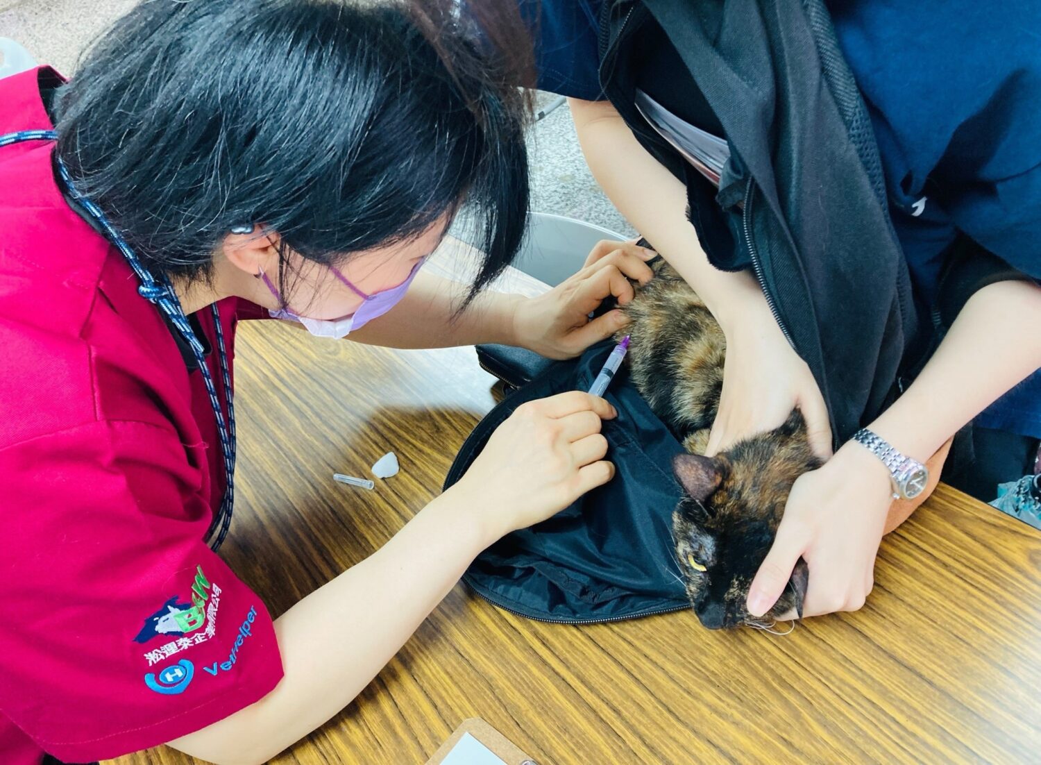 不浪了!公益踩街市集當天將免費提供狂犬病疫苗施打。(圖/金盤子娛樂 提供)