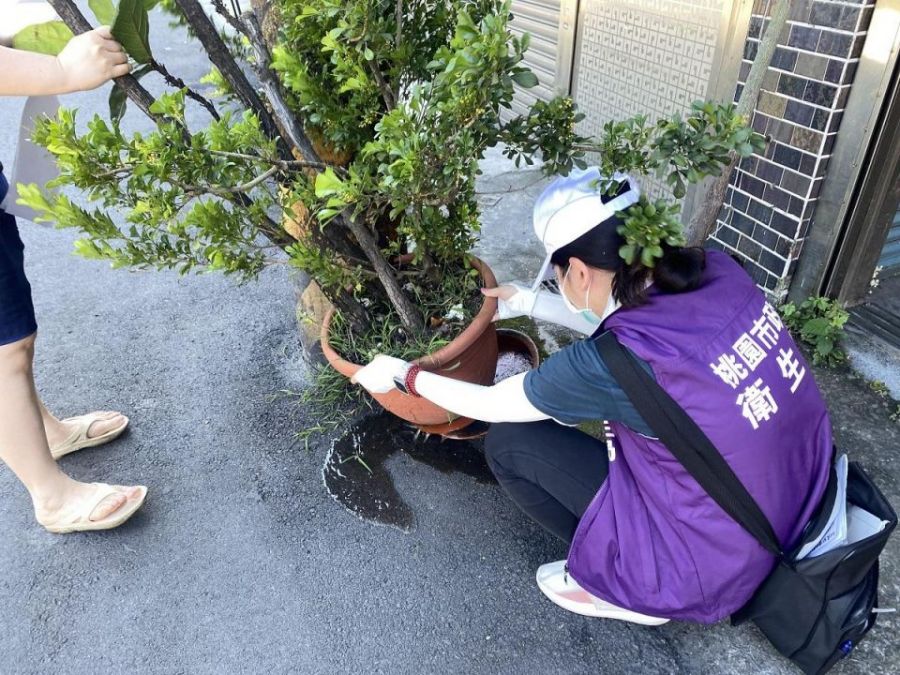 暑假旅遊旺季來臨!當心登革熱找上門