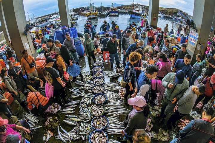 東北角好行8款套票開賣!三線暢遊食宿遊購行一次滿足
