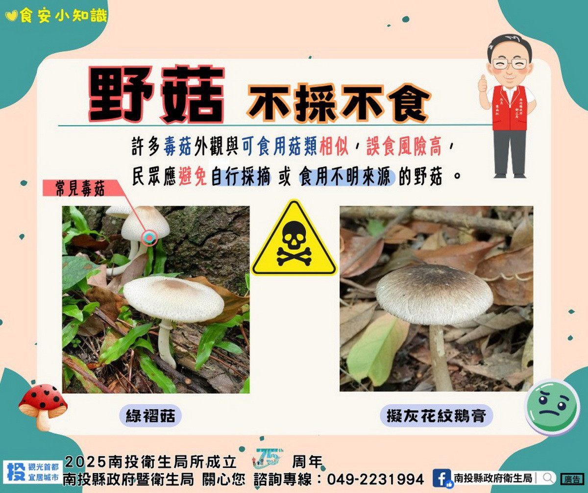 衛生局籲民眾千萬不要任意採食野生菇。(衛生局提供)