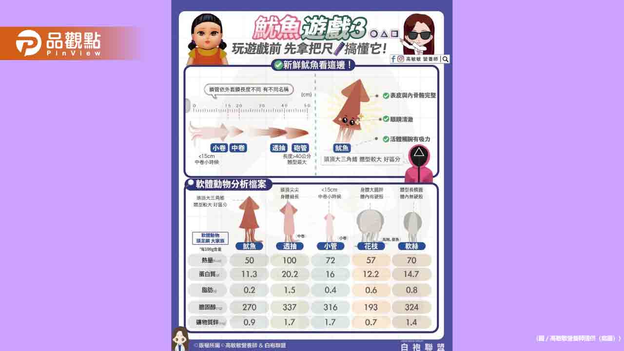 魷魚遊戲3你還沒搞懂這些軟體動物嗎?追劇前先來個海味小常識