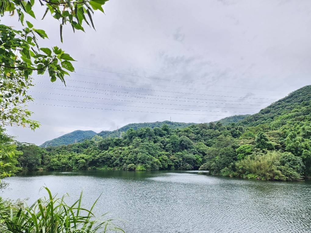 營造白匏湖生態園區、改善康寧街三期道路 侯友宜:打造友善居住環境 - https://www.watchmedia01.com