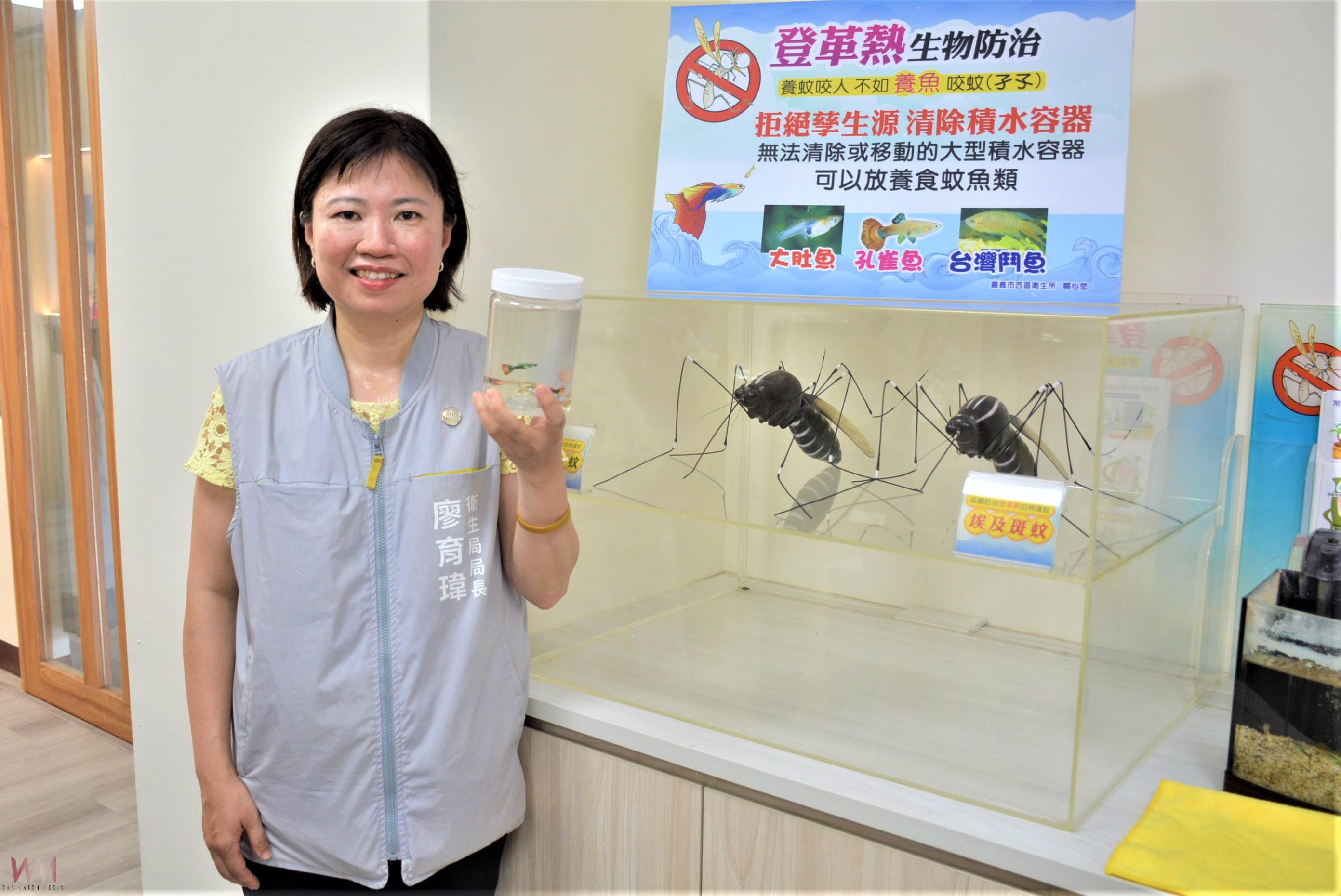 預防災後疫病孳生 嘉義市全面提高警「孓」 - https://www.watchmedia01.com