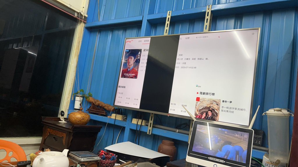 影/電蚊拍捕蚊「電死螢幕」!電視黑掉一片 民眾po網問:還有救嗎