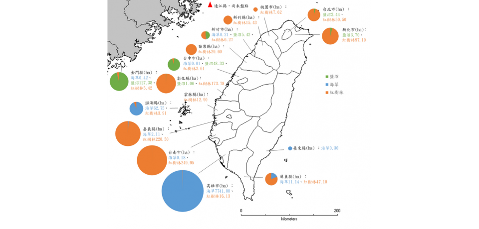 海草復育與紅樹林植林方法學正式通過 開啟藍碳治理新契機