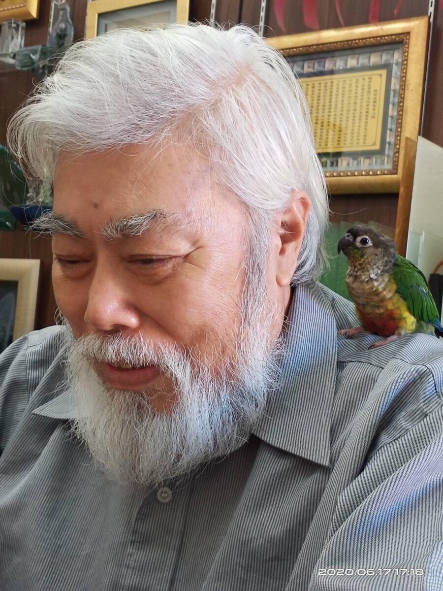 聼鳥啼（孫吳也文創）新歌281