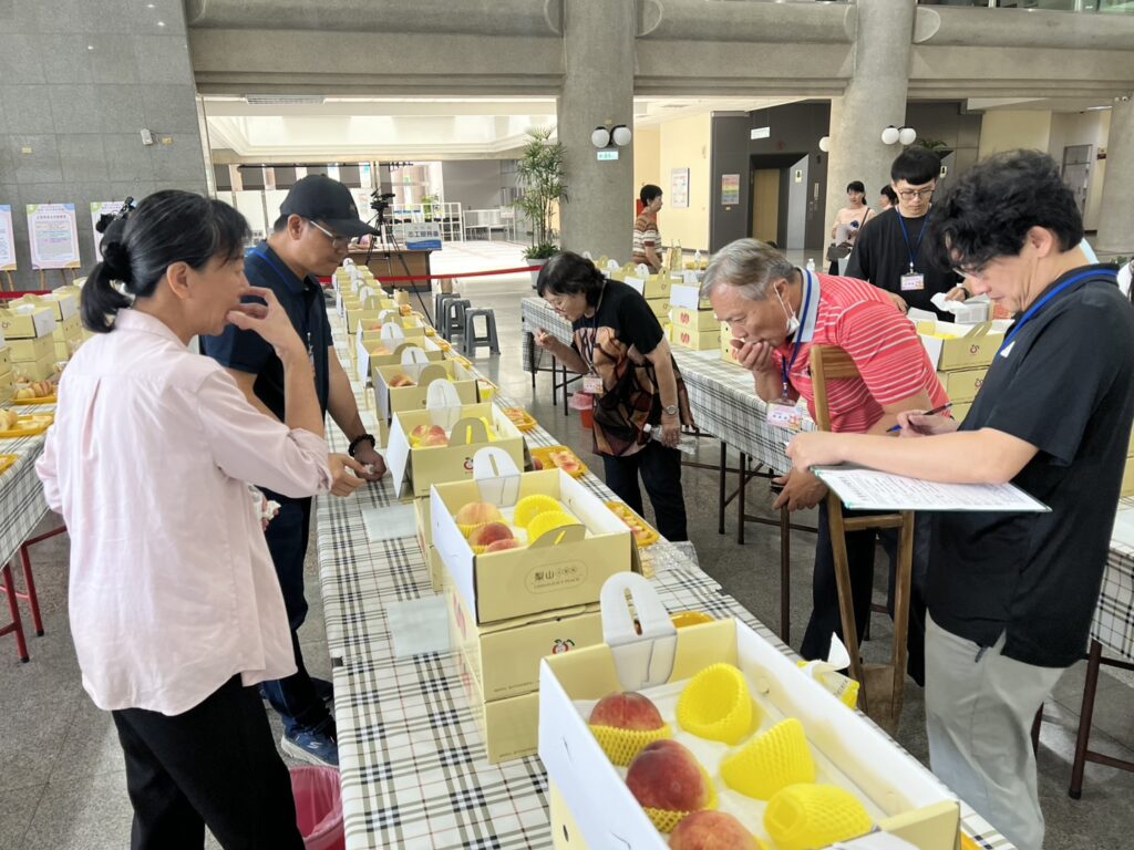 台中市優質水蜜桃評鑑 農友汪煥洲榮獲水蜜桃達人 2 評審就水蜜桃口感及風味進行評分 0