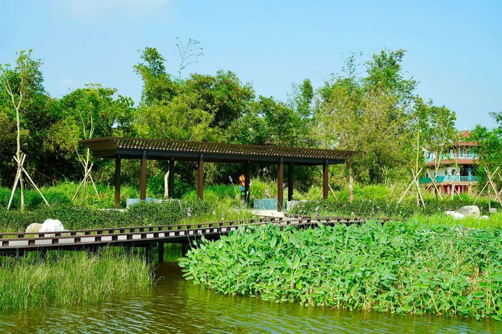 高雄觀音湖華麗變身生態景點 勇奪2025建築園冶獎及國家卓越建設獎