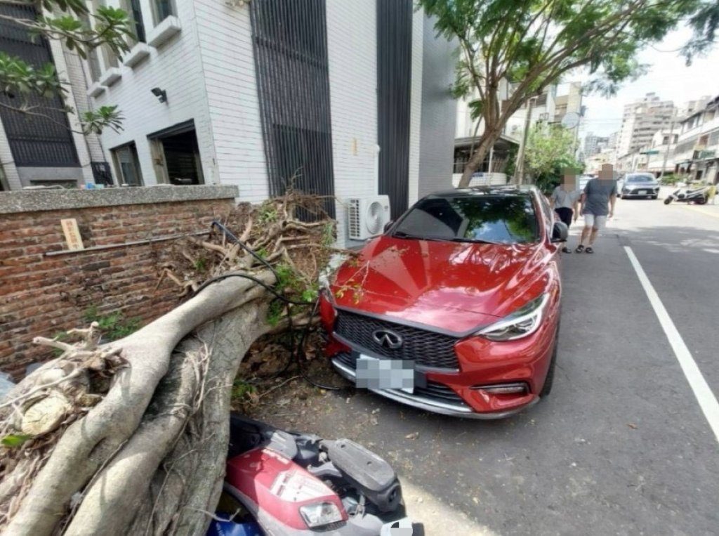 砰!台中北屯區路樹猛然倒塌-3汽機車慘遭波及