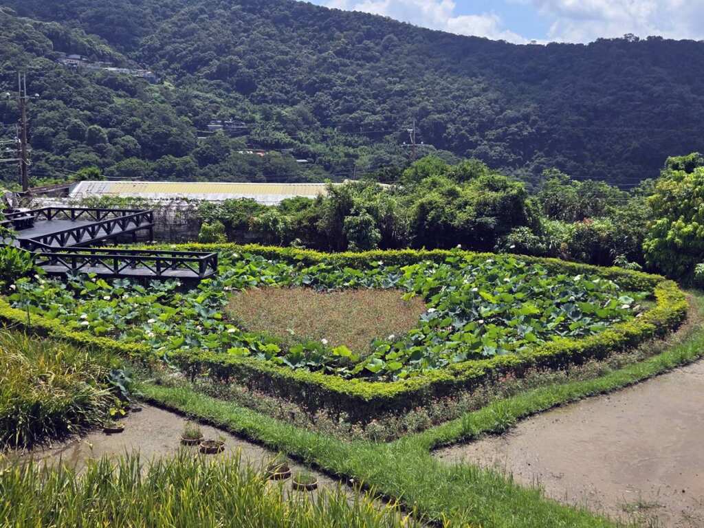 ▲同心池。
