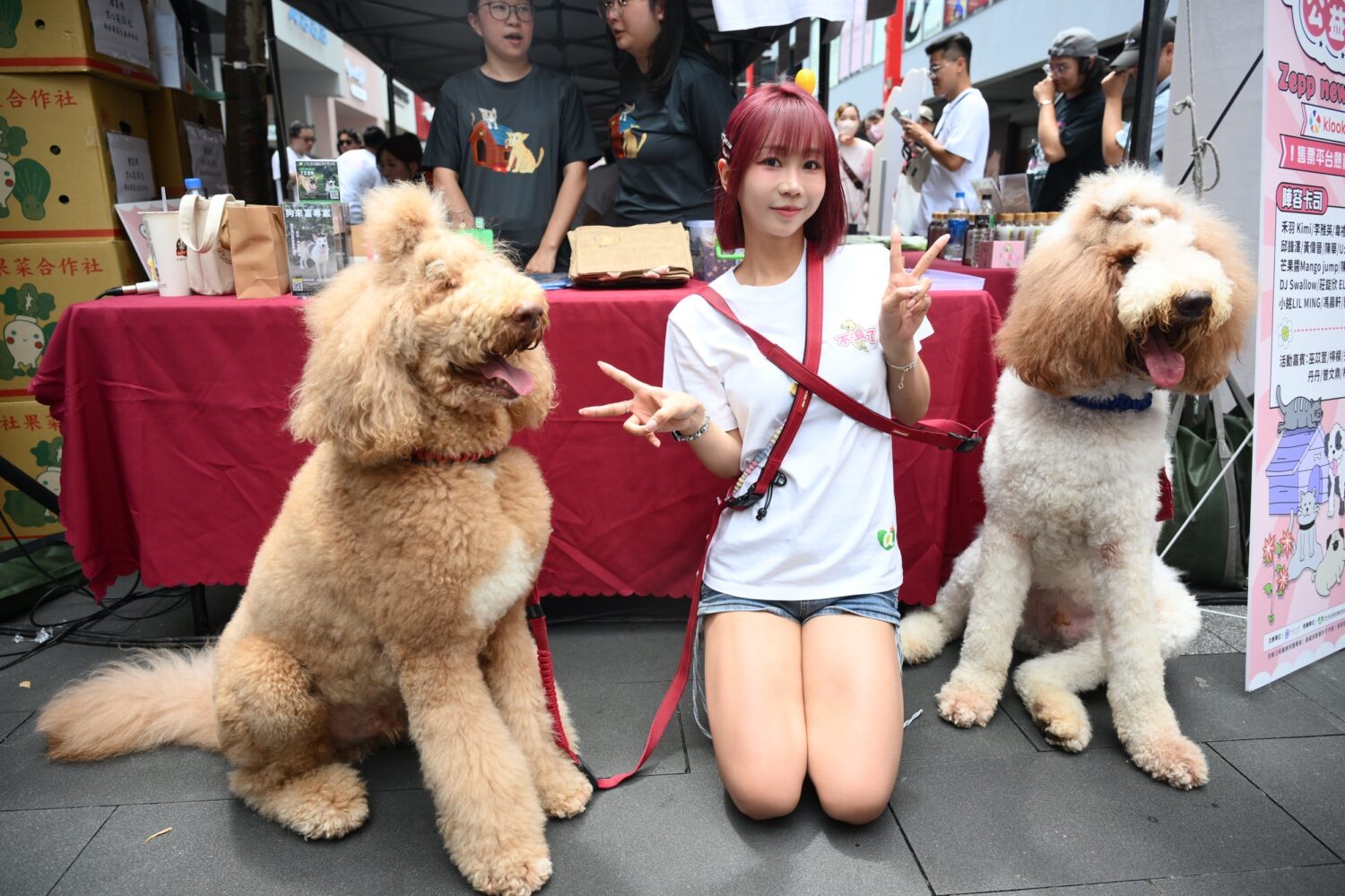 熱愛動物的安娜,親切的與現場的寵物互動。(圖/金盤子娛樂 提供)