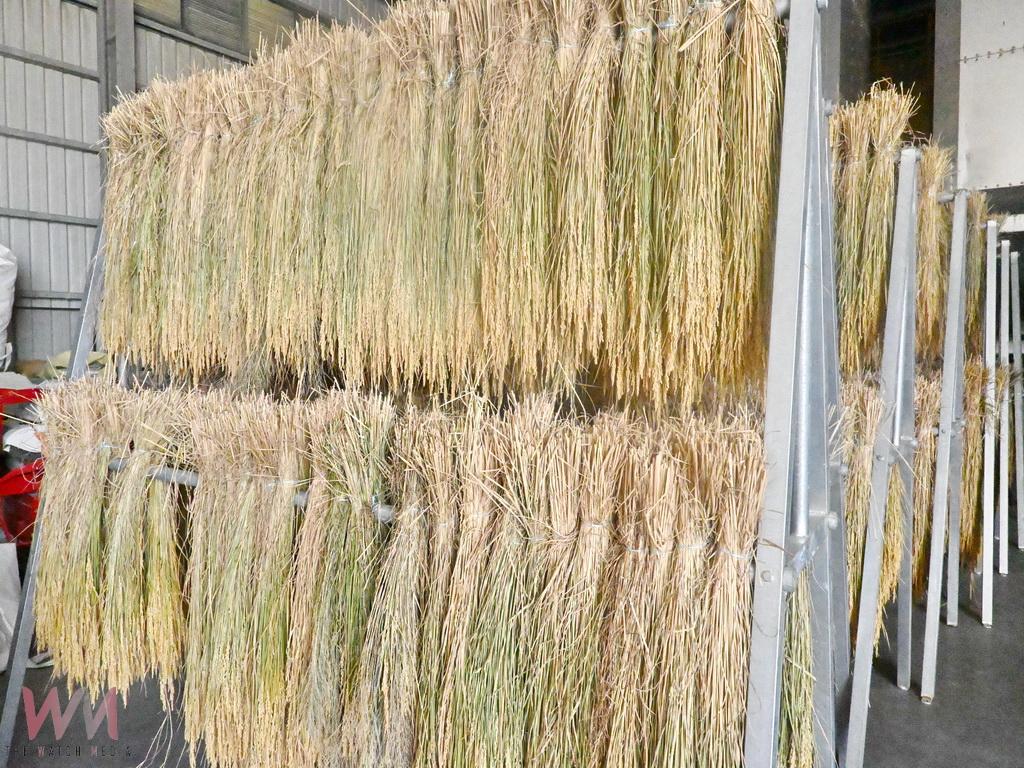 愷式好米推出爵餉米 重現古早農法掀起米食新風潮